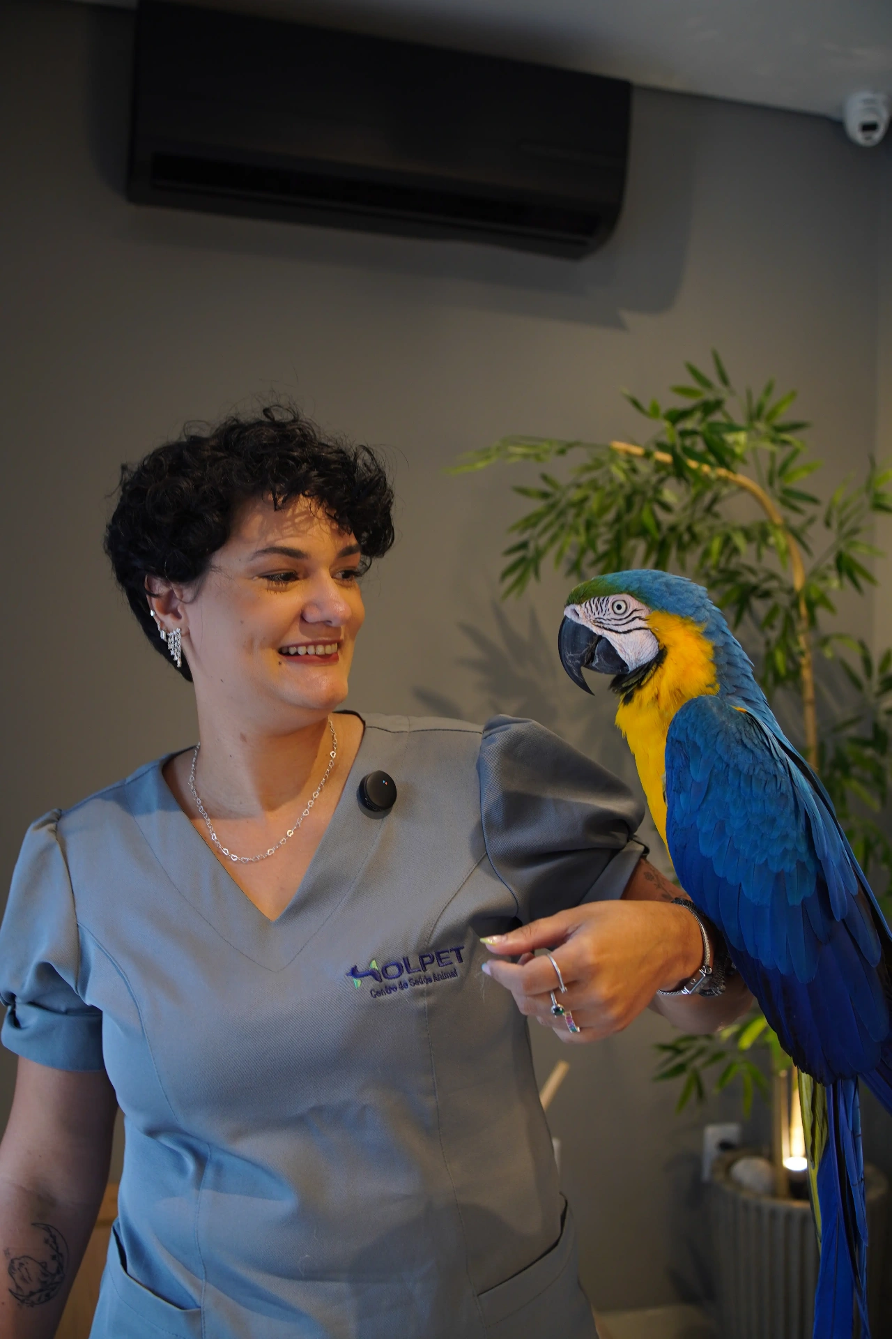 Dra. Camilla Gil — Médica Veterinária